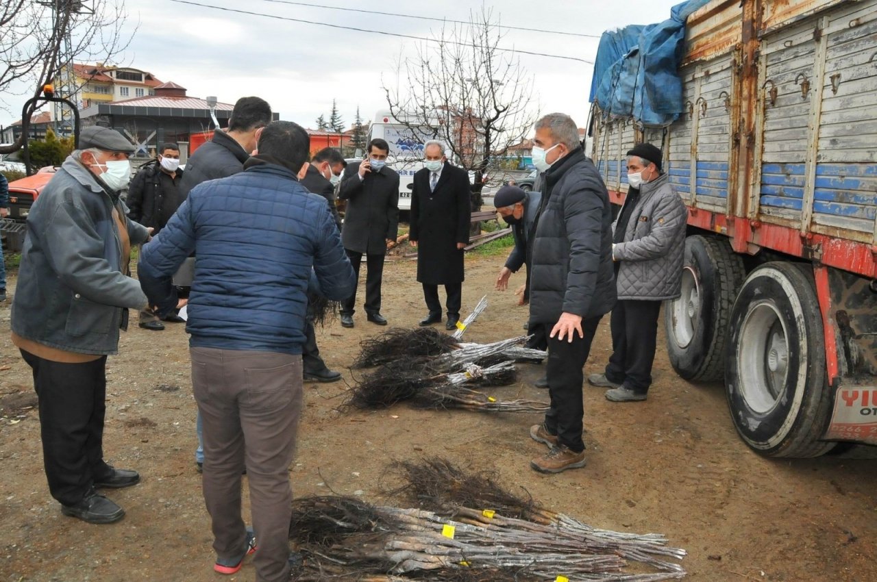 Akşehir’de Üreticilere Ceviz Fidanı Dağıtıldı