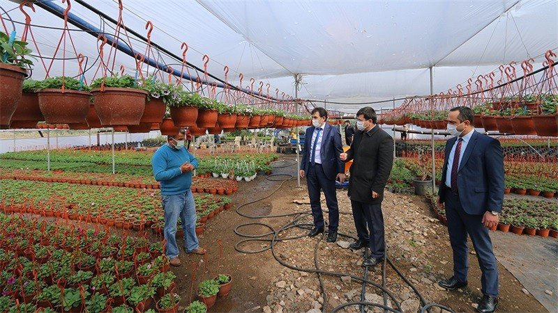 30 Yıllık Çiçekçinin Süs Bitkileri Serası Hayali Gerçek Oldu