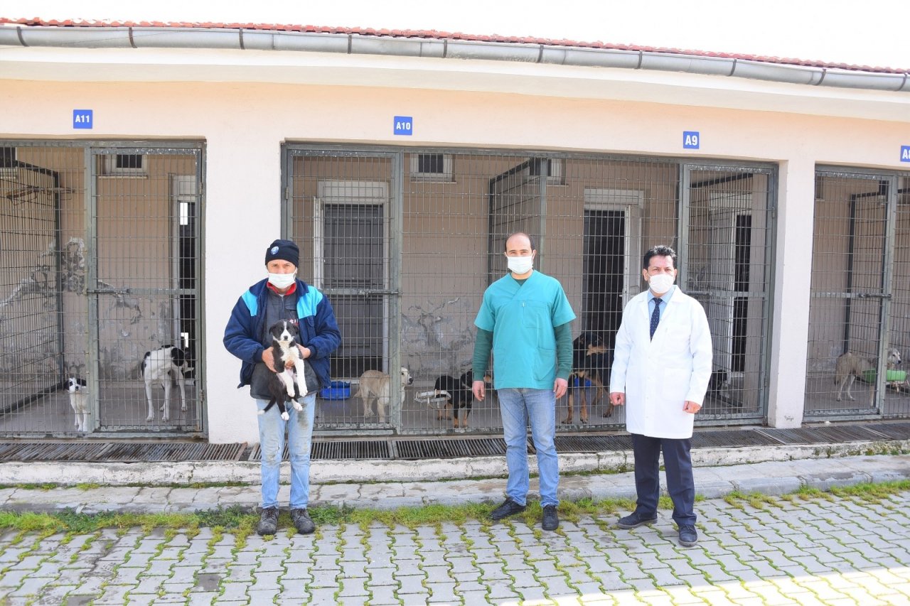 Salihli Belediyesi’nden Hayvan Barınağı Açıklaması