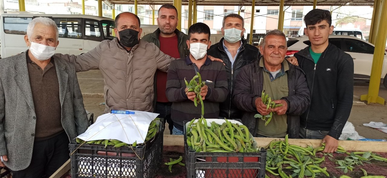 Geçen Yıl Pandeminin Vurduğu Baklayı Bu Yıl Don Vurdu