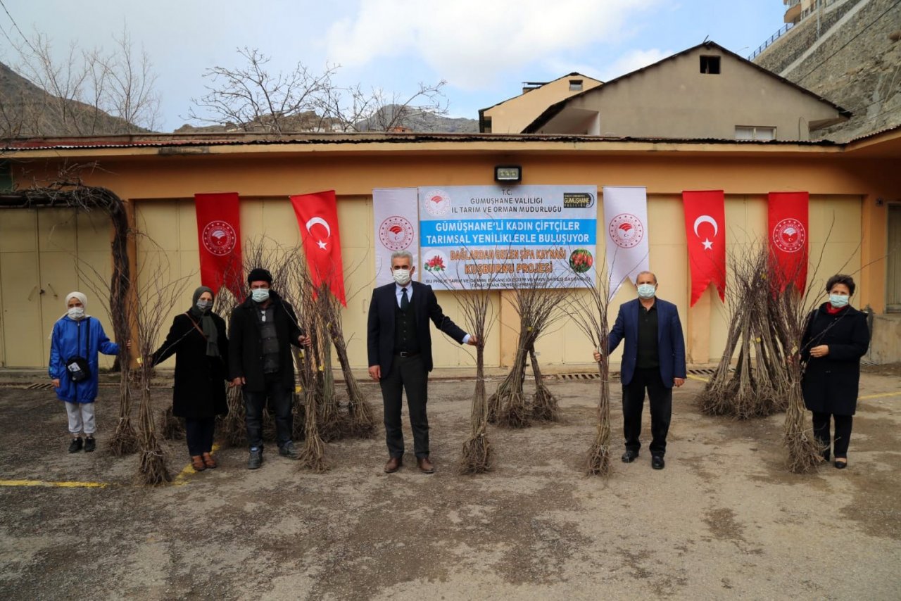 Gümüşhane’de Kadın Çiftçilere Dikensiz Kuşburnu Fidanı Dağıtıldı