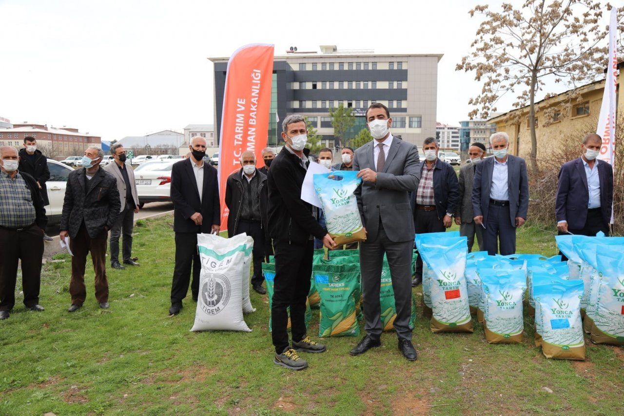 Bingöl’de Çiftçilere Yüzde 50 Hibe Destekli Tohum Dağıtıldı