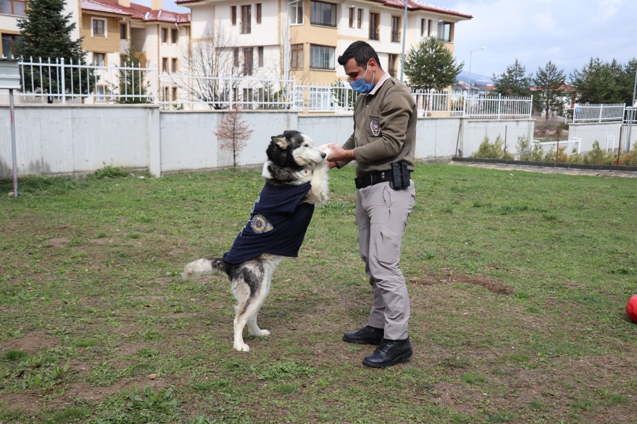 Polisler Ölmek Üzereyken Buldukları Köpeği Sağlığına Kavuşturdu