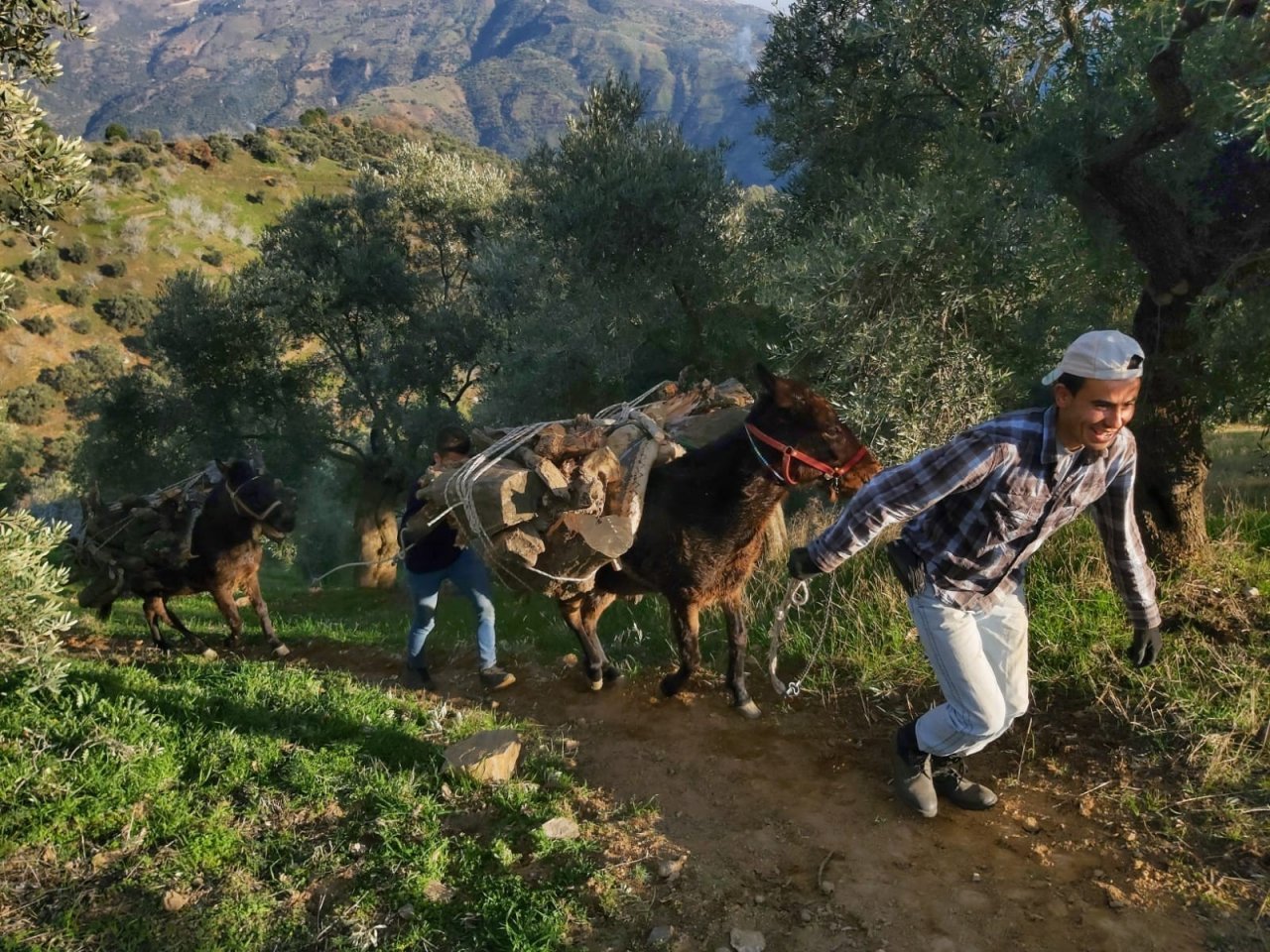 Kış Yeniden Geri Gelince, Vatandaşa Yakacak Telaşı Sardı