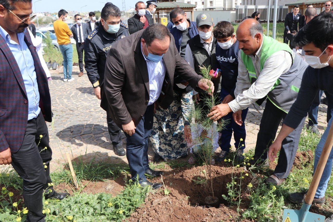 Ekinci, Polislerle Beraber Ağaç Dikti