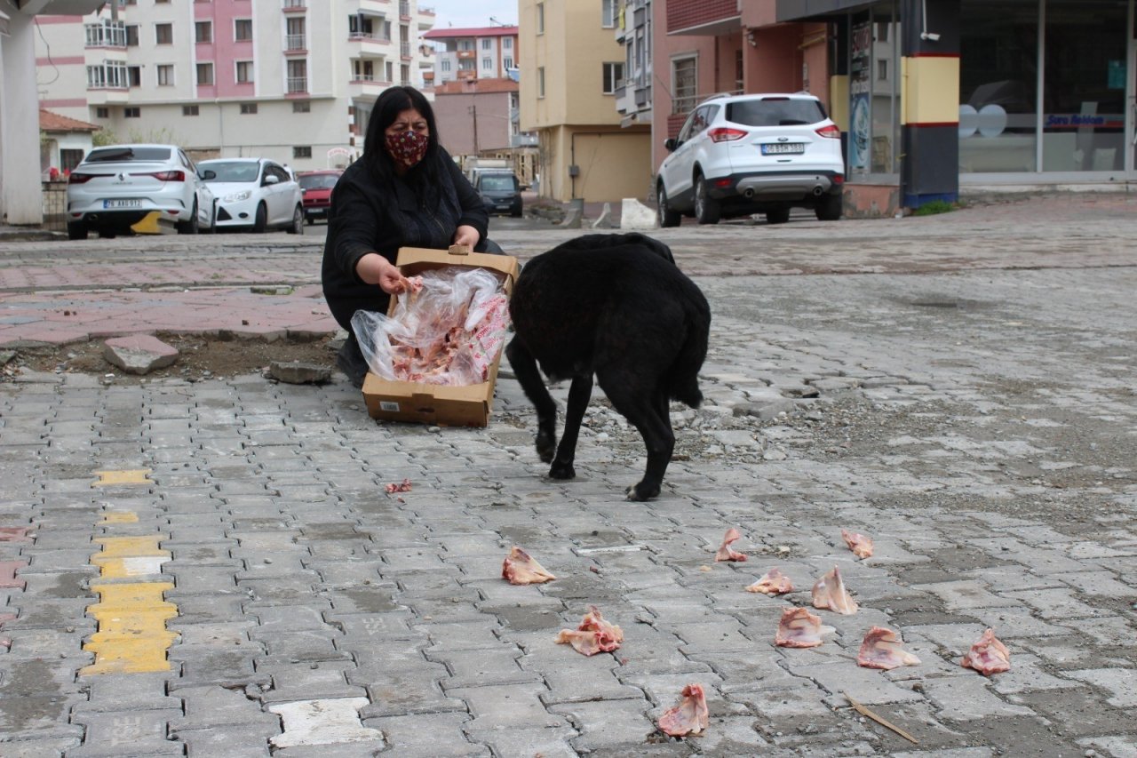 Kısıtlamalarda Hayvan Severler Sokak Hayvanlarını Unutmadı