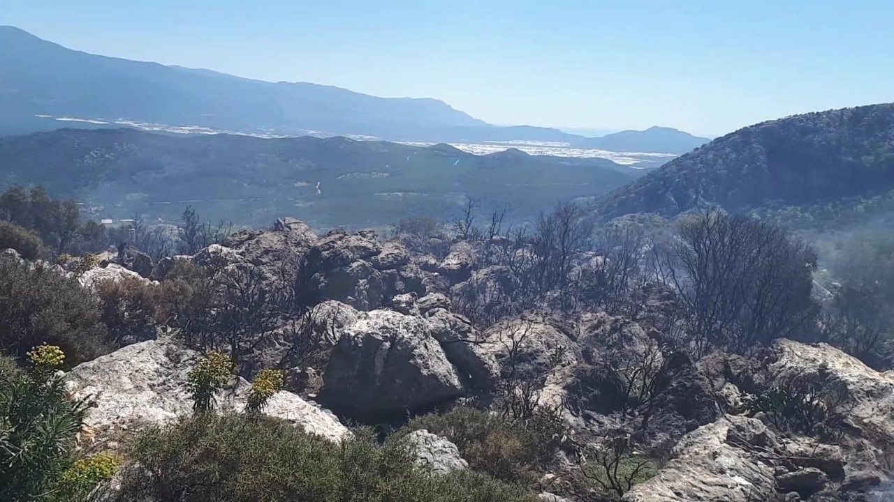 Seydikemer’de Makilik Alandaki Yangın Söndürüldü